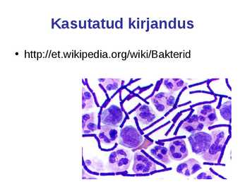 Bakterid - üherakulised eeltuumsed organismid #12