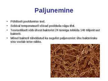 Bakterid - üherakulised eeltuumsed organismid #5