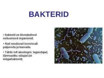 Bakterid - üherakulised eeltuumsed organismid