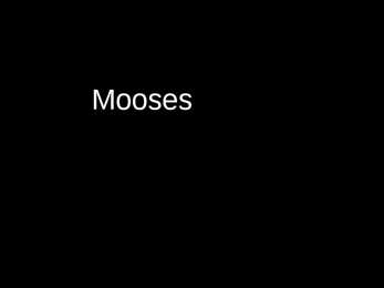 Mooses