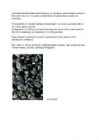 Mussoonmetsad #4