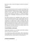 Puidu vahad #4