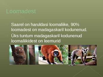 Madagaskari tutvustus ja rahvustoidud #7