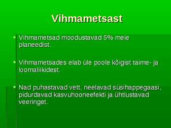 Troopiline vihmamets #2