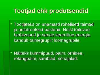 Troopiline vihmamets #11