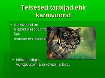 Troopiline vihmamets #13