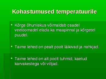 Troopiline vihmamets #5