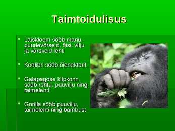 Troopiline vihmamets #10