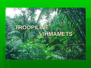 Troopiline vihmamets