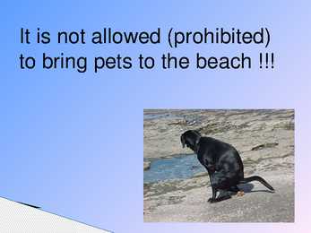 Presentation about three popular sights in Estonia #4