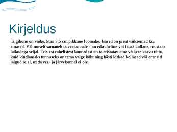Tiigikonn #2