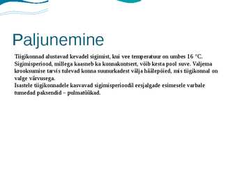 Tiigikonn #4