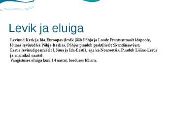 Tiigikonn #5
