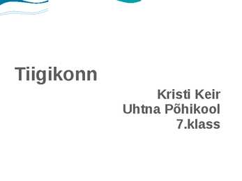 Tiigikonn