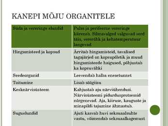 Kanep #5