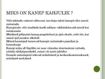 Kanep #6