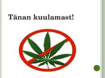 Kanep #9