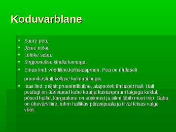 Linnud minu hoovist #3