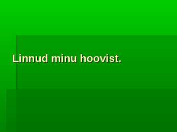 Linnud minu hoovist