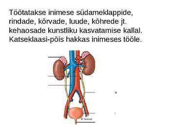 Rakendusbioloogia #34