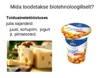 Rakendusbioloogia #6