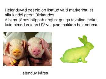 Rakendusbioloogia #63