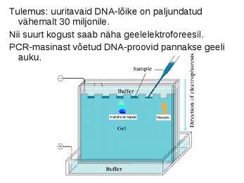Rakendusbioloogia #70