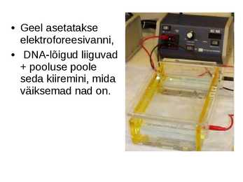 Rakendusbioloogia #71