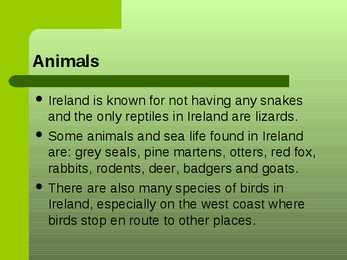 Ireland s nature #7