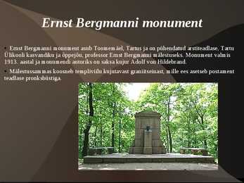 Tartu Toomemägi #8