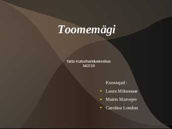 Tartu Toomemägi