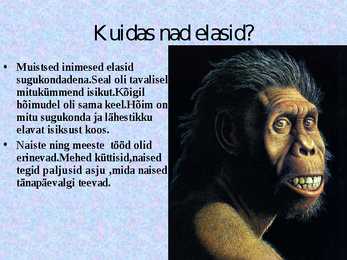 Muistsed kütid ja korilased #4