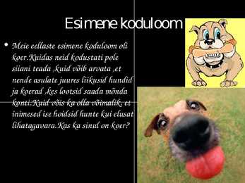 Muistsed kütid ja korilased #9