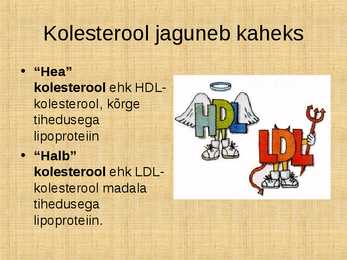 Kolesterool #3