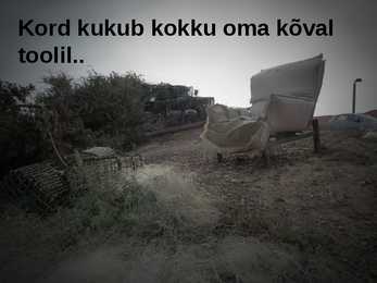 D Kareva luulekava #12