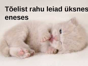 D Kareva luulekava #10