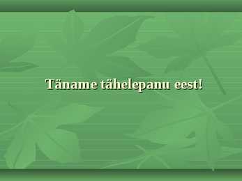Troopilised Vihmametsad #15