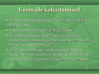 Troopilised Vihmametsad #7