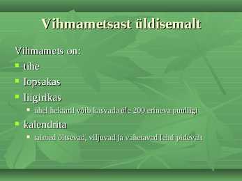 Troopilised Vihmametsad #8