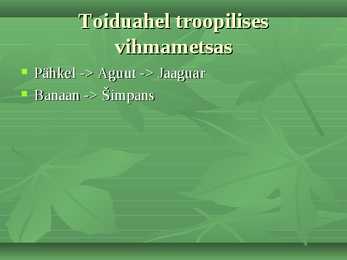 Troopilised Vihmametsad #9