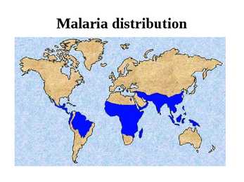Malaria #3