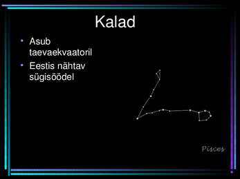 Tähtkujud #16