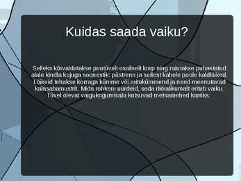 Männivaik #3