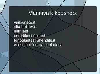 Männivaik #5