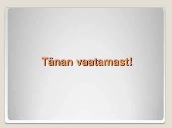 Maajade kultuur #14