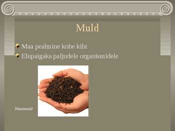 Muld #2