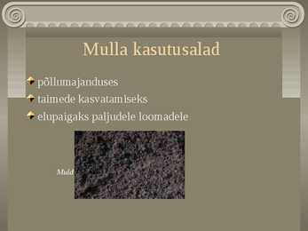 Muld #4