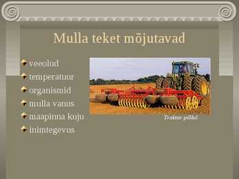 Muld #6