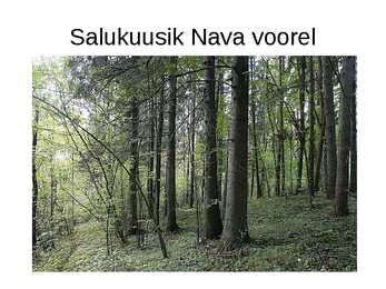 Jõgevamaa #33