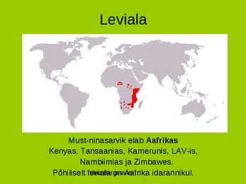 Must-ninasarvik e-teravmokk-ninasarvik #3